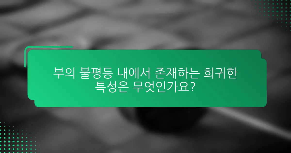 부의 불평등 내에서 존재하는 희귀한 특성은 무엇인가요?