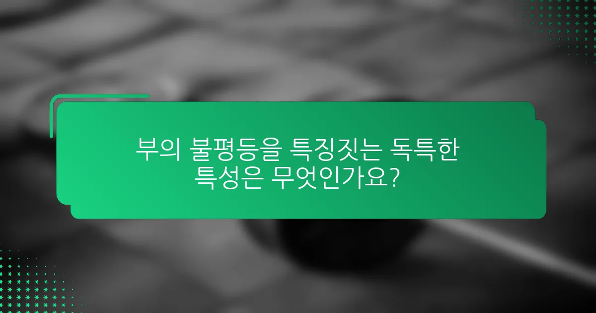 부의 불평등을 특징짓는 독특한 특성은 무엇인가요?