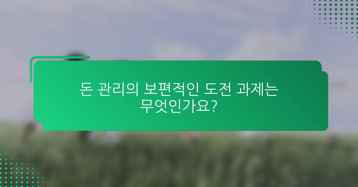 돈 관리의 보편적인 도전 과제는 무엇인가요?