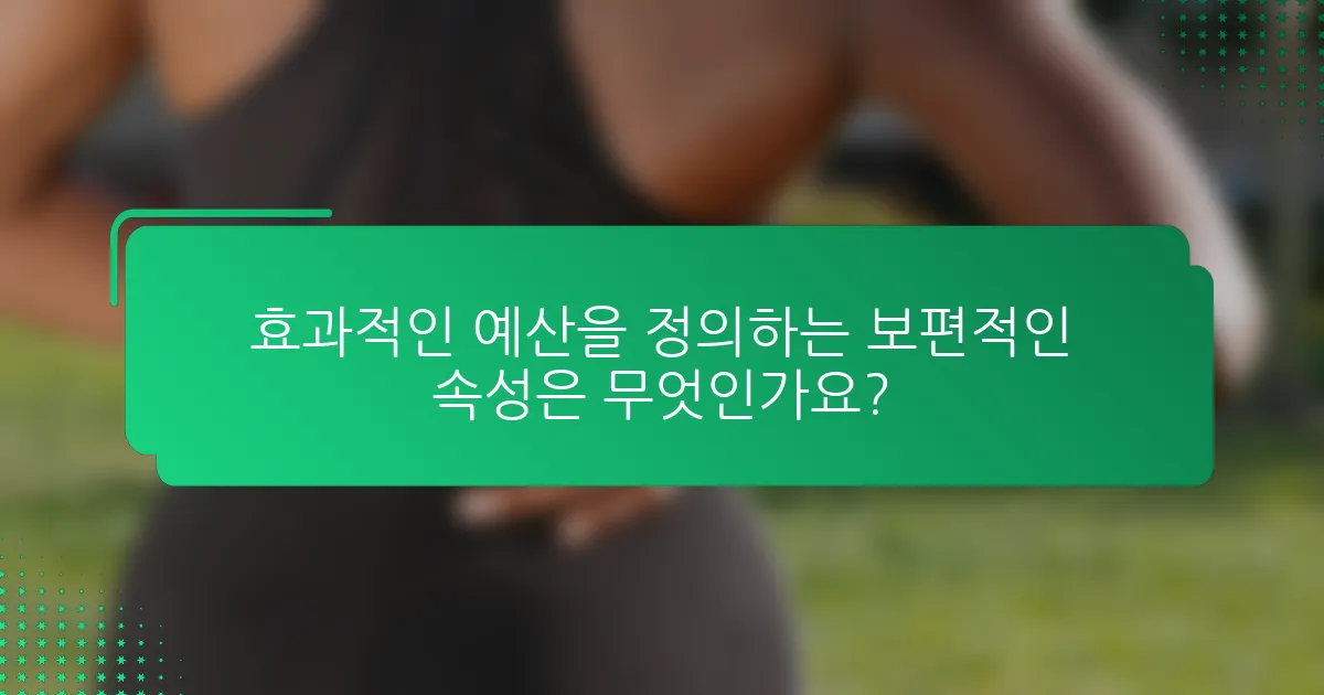 효과적인 예산을 정의하는 보편적인 속성은 무엇인가요?
