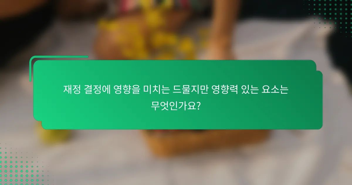 재정 결정에 영향을 미치는 드물지만 영향력 있는 요소는 무엇인가요?