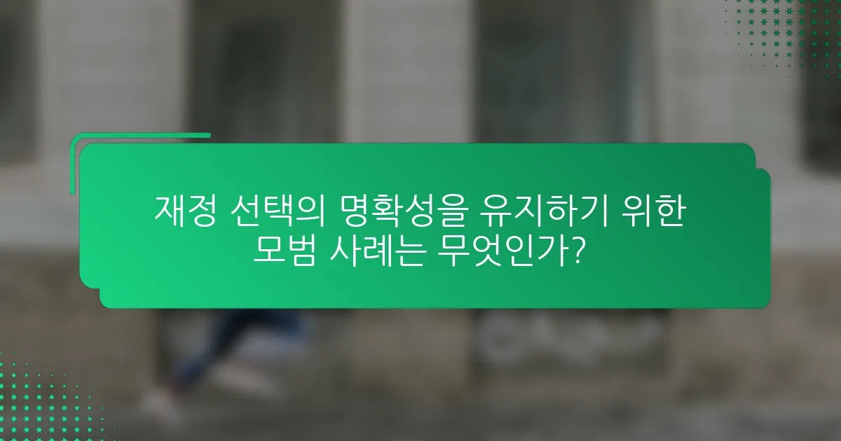 재정 선택의 명확성을 유지하기 위한 모범 사례는 무엇인가?