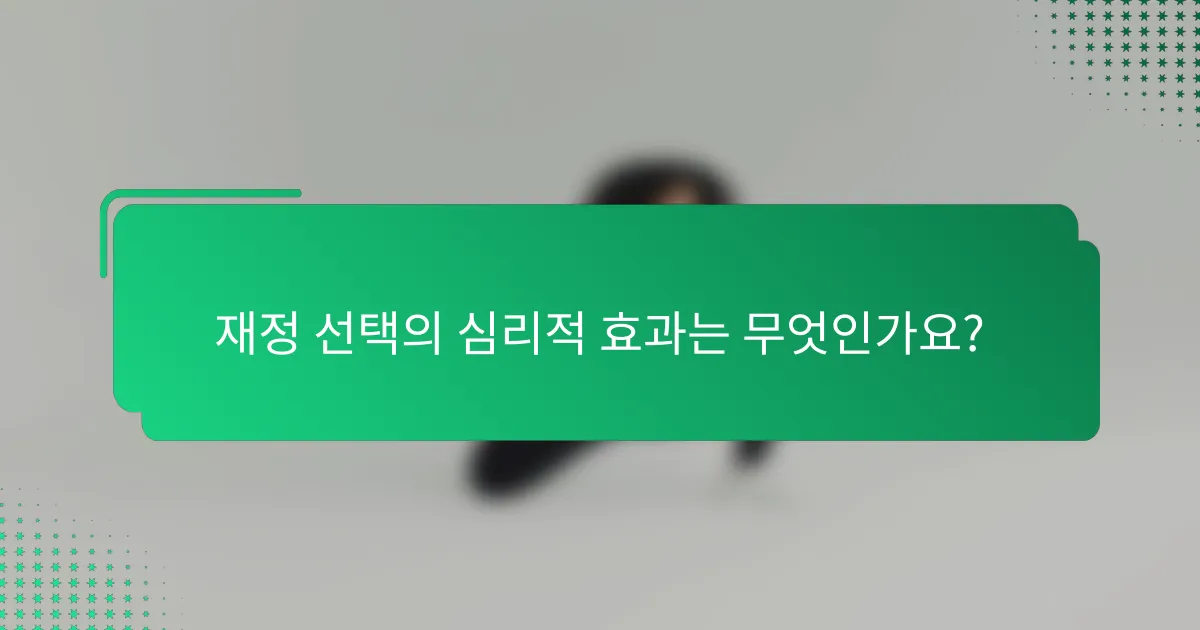 재정 선택의 심리적 효과는 무엇인가요?